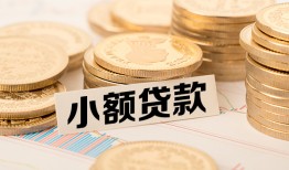 东莞6身份证贷款平台-东莞6私人借贷不查征信-东莞6空放借钱